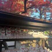 ヒメ日記 2026/09/29 10:17 投稿 きょうこ Lounge Yoki東京