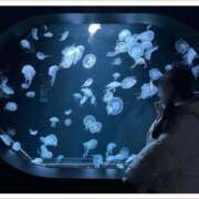 ヒメ日記 2025/02/08 18:23 投稿 ゆら わちゃわちゃ密着リアルフルーちゅ西船橋