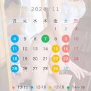 ヒメ日記 2024/10/23 16:17 投稿 和香 シャトーペトラ