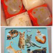 ヒメ日記 2025/02/15 20:43 投稿 和香 シャトーペトラ