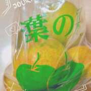 ヒメ日記 2025/08/14 12:53 投稿 和香 シャトーペトラ