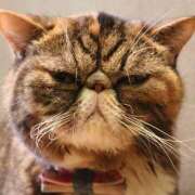 ヒメ日記 2024/12/12 20:42 投稿 れい 全裸SUPERプレミアム