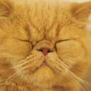 ヒメ日記 2024/12/14 09:24 投稿 れい 全裸SUPERプレミアム