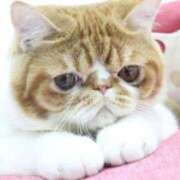 ヒメ日記 2025/01/07 08:10 投稿 れい 全裸SUPERプレミアム