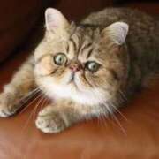 ヒメ日記 2025/01/08 10:14 投稿 れい 全裸SUPERプレミアム