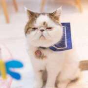 ヒメ日記 2025/01/09 09:26 投稿 れい 全裸SUPERプレミアム