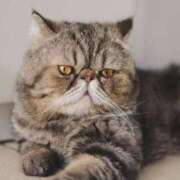 ヒメ日記 2025/01/10 09:21 投稿 れい 全裸SUPERプレミアム