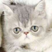 ヒメ日記 2025/01/23 09:34 投稿 れい 全裸SUPERプレミアム