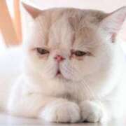 ヒメ日記 2025/01/24 10:29 投稿 れい 全裸SUPERプレミアム