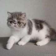 ヒメ日記 2025/02/28 09:40 投稿 れい 全裸SUPERプレミアム