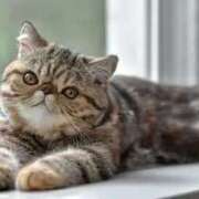 ヒメ日記 2025/03/06 09:55 投稿 れい 全裸SUPERプレミアム