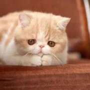 ヒメ日記 2025/06/12 10:25 投稿 れい 全裸SUPERプレミアム