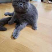 ヒメ日記 2025/06/19 12:23 投稿 れい 全裸SUPERプレミアム