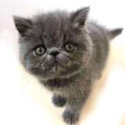 ヒメ日記 2025/09/03 10:31 投稿 れい 全裸SUPERプレミアム