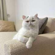 ヒメ日記 2025/09/25 09:06 投稿 れい 全裸SUPERプレミアム