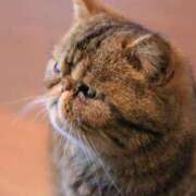 ヒメ日記 2025/10/30 10:49 投稿 れい 全裸SUPERプレミアム