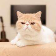 ヒメ日記 2025/11/20 11:45 投稿 れい 全裸SUPERプレミアム