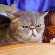 れい こんにちは 全裸SUPERプレミアム