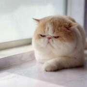 ヒメ日記 2026/04/02 13:05 投稿 れい 全裸SUPERプレミアム