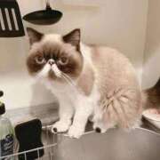 れい こんにちは 全裸SUPERプレミアム