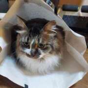 ヒメ日記 2025/07/17 18:57 投稿 高松ひかる 五十路マダム 博多店