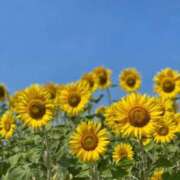 ヒメ日記 2025/08/28 10:57 投稿 高松ひかる 五十路マダム 博多店