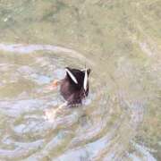 ヒメ日記 2025/01/19 15:37 投稿 飯塚　なるせ エテルナ京都