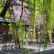 ヒメ日記 2025/04/07 17:55 投稿 飯塚　なるせ エテルナ京都