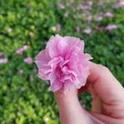 ヒメ日記 2025/04/26 07:10 投稿 飯塚　なるせ エテルナ京都