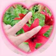 ヒメ日記 2025/06/15 19:10 投稿 飯塚　なるせ エテルナ京都