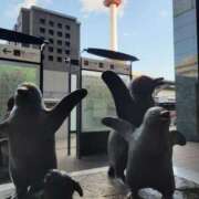 ヒメ日記 2025/11/03 08:31 投稿 飯塚　なるせ エテルナ京都