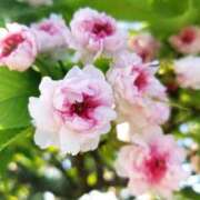 ヒメ日記 2026/02/18 15:53 投稿 飯塚　なるせ エテルナ京都