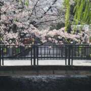 ヒメ日記 2026/03/30 11:27 投稿 飯塚　なるせ エテルナ京都