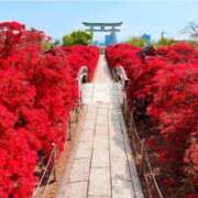 ヒメ日記 2026/04/18 20:26 投稿 飯塚　なるせ エテルナ京都