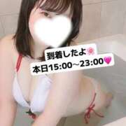 ヒメ日記 2025/01/10 14:50 投稿 さとみ 豊満倶楽部