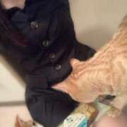 ヒメ日記 2025/05/24 09:59 投稿 あお 夢幻 取手店