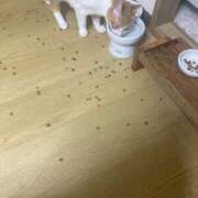 ヒメ日記 2025/05/28 23:33 投稿 あお 夢幻 取手店