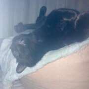 ヒメ日記 2025/06/05 19:00 投稿 あお 夢幻 取手店