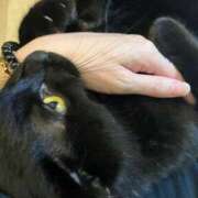 ヒメ日記 2025/09/19 21:48 投稿 あお 夢幻 取手店