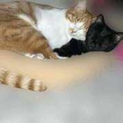 ヒメ日記 2025/10/01 23:59 投稿 あお 夢幻 取手店