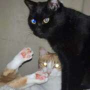 ヒメ日記 2025/10/20 13:36 投稿 あお 夢幻 取手店