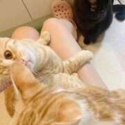 ヒメ日記 2025/10/21 11:05 投稿 あお 夢幻 取手店