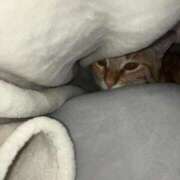 ヒメ日記 2025/10/28 19:35 投稿 あお 夢幻 取手店