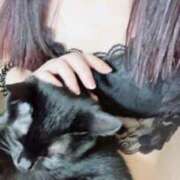 ヒメ日記 2025/11/20 19:31 投稿 あお 夢幻 取手店