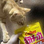 ヒメ日記 2025/11/21 20:30 投稿 あお 夢幻 取手店