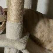 ヒメ日記 2025/12/15 23:02 投稿 あお 夢幻 取手店