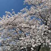 ヒメ日記 2025/03/18 15:12 投稿 ゆめ 熟女の風俗最終章 仙台店