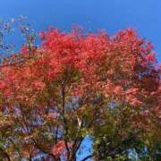 ヒメ日記 2025/09/30 16:44 投稿 ゆめ 熟女の風俗最終章 仙台店