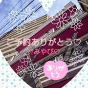 ヒメ日記 2025/03/19 02:50 投稿 山口みやび 松戸人妻花壇