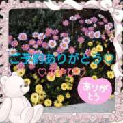 ヒメ日記 2025/04/11 01:17 投稿 山口みやび 松戸人妻花壇